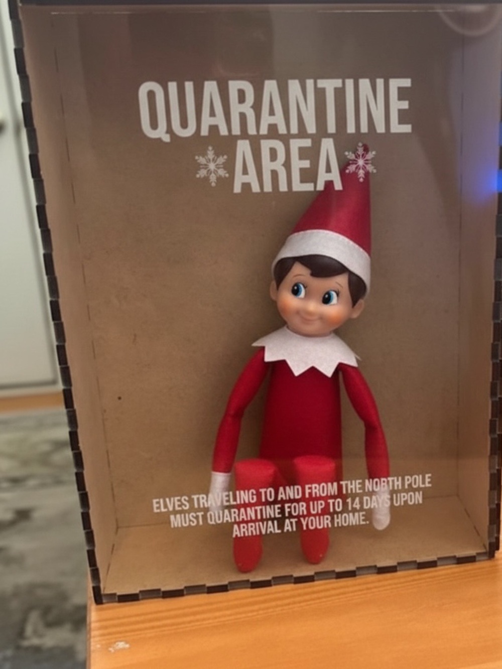 Etsy made Elf on the Shelf sick box